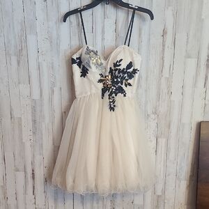 Chic Cream and Black Embroidered Mini Dress